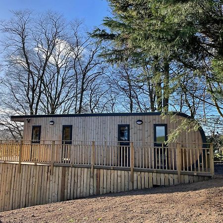 Acorn Lodge With Hot Tub Cupar Extérieur photo