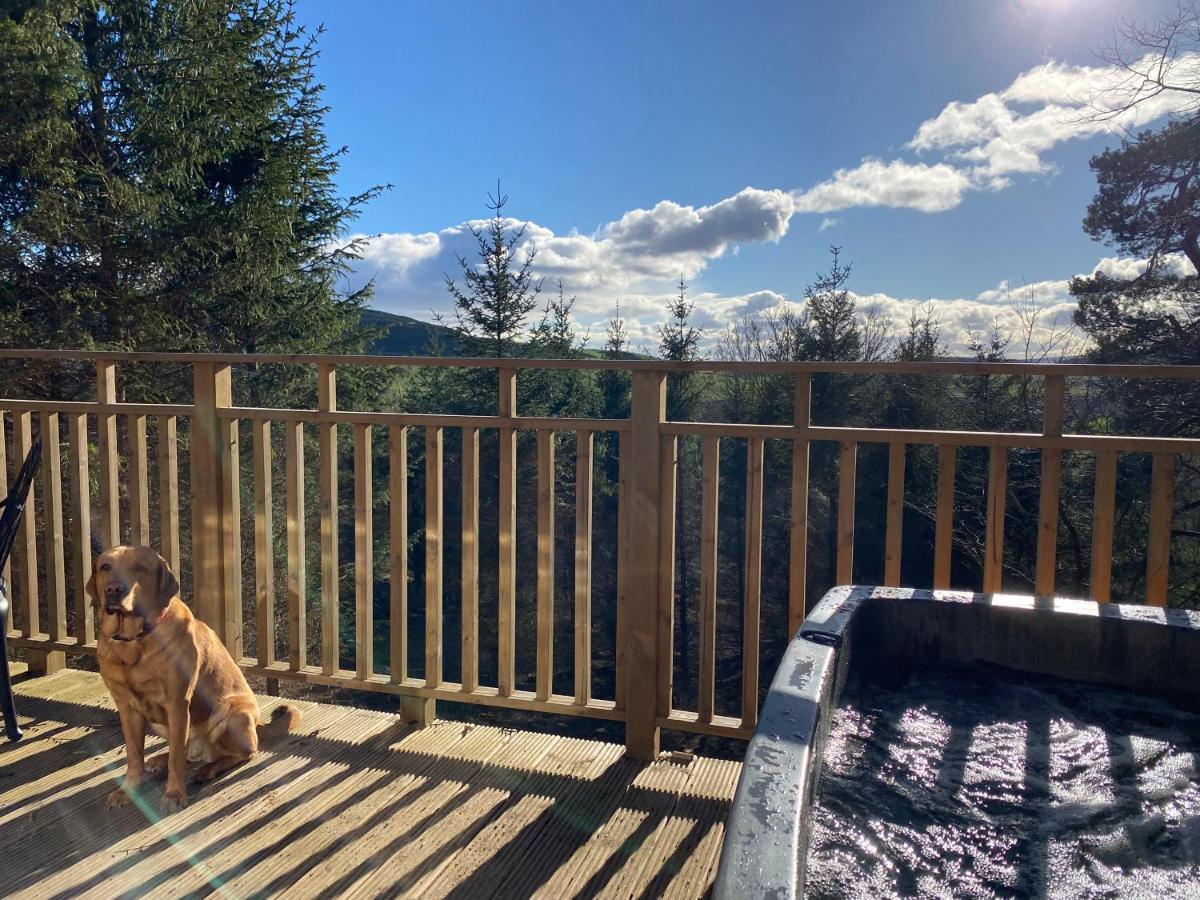 Acorn Lodge With Hot Tub Cupar Extérieur photo